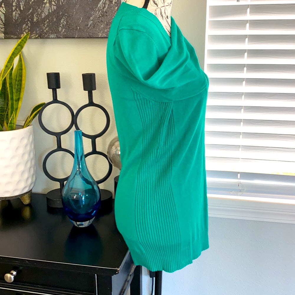 EXPRESS DESIGN STUDIO Green V-Neck Sweater L - Picture 3 of 7